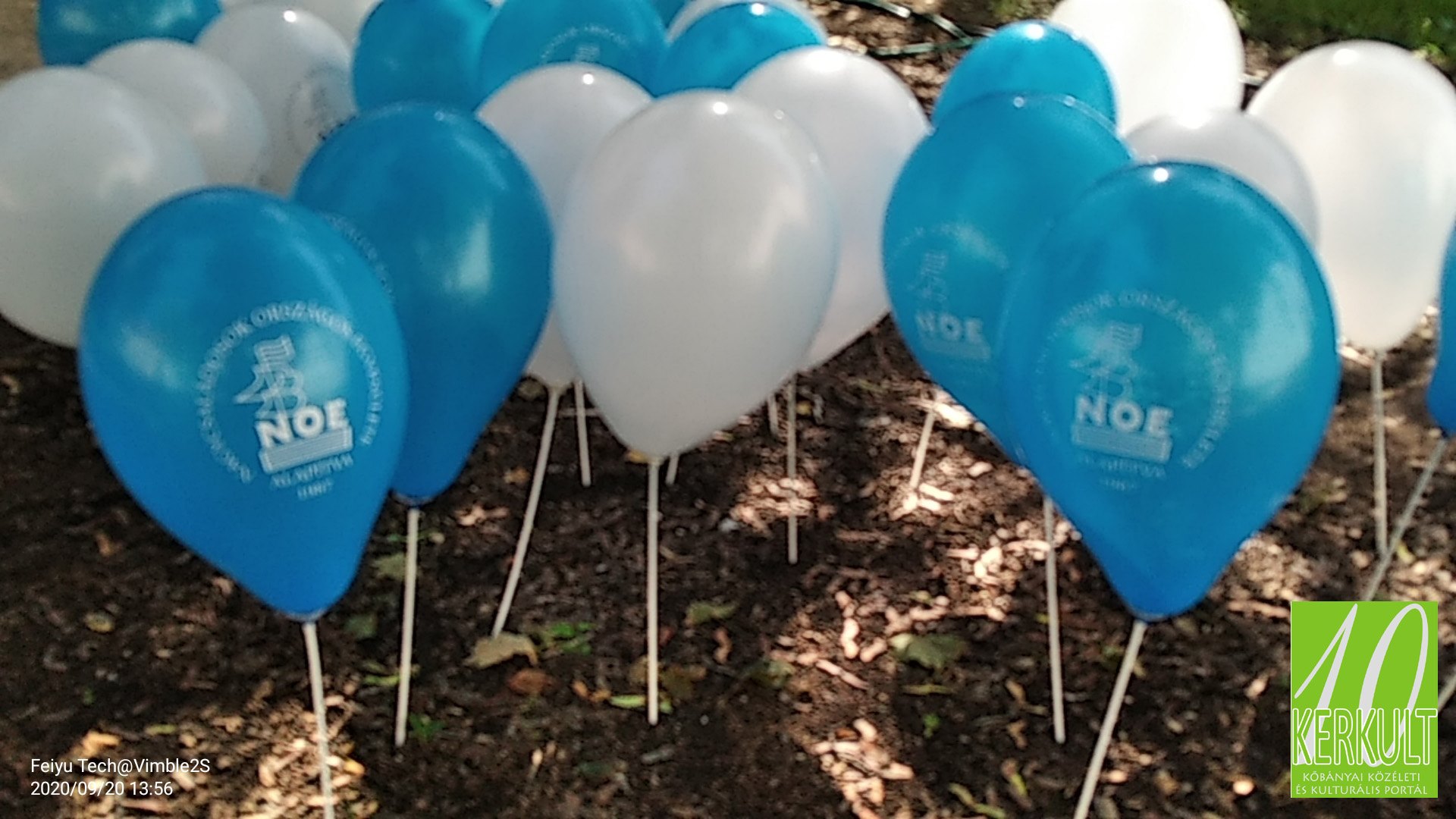 120105060 2504966399794964 1182614267293837976 N