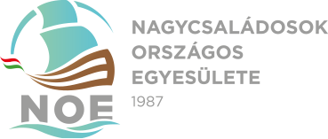 noe logo